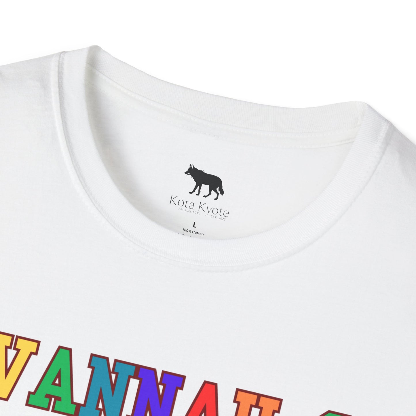 Savannah, GA Rainbow Graphic Tee